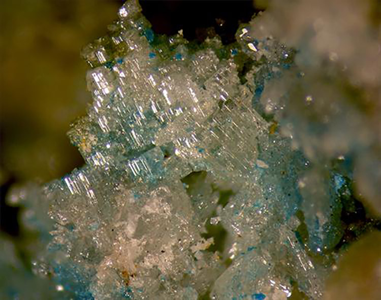 Penfieldite with pseudoboleite