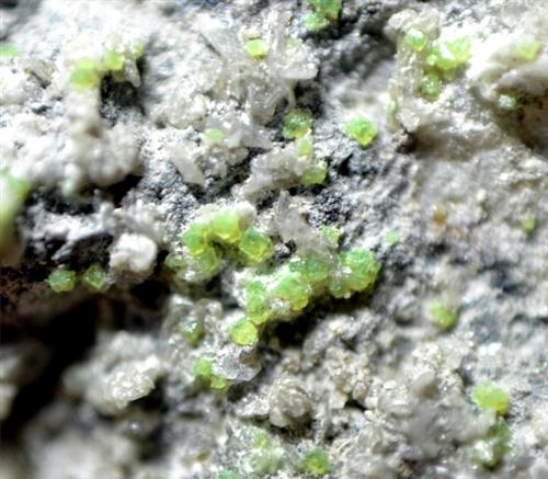 Schrockingerite with Andersonite