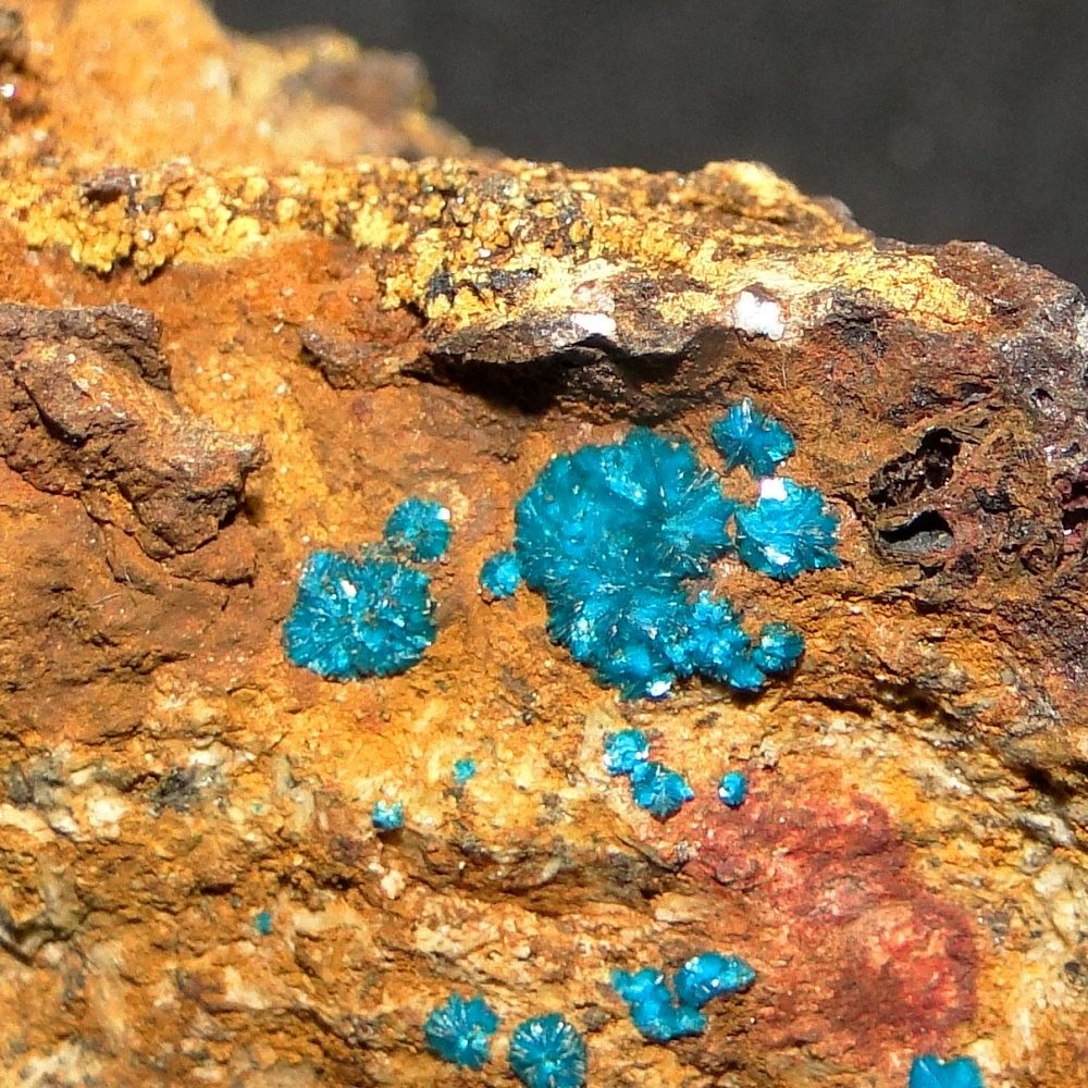 Sampleite cluster