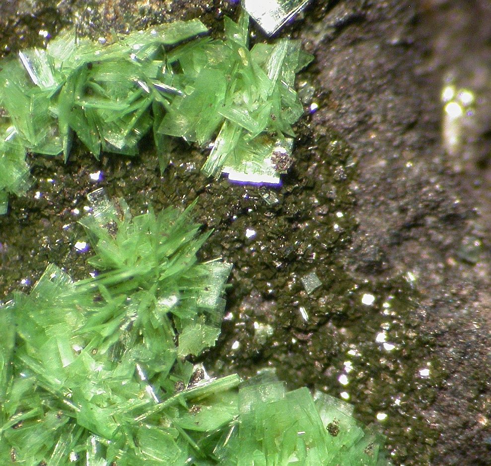 Sincosite