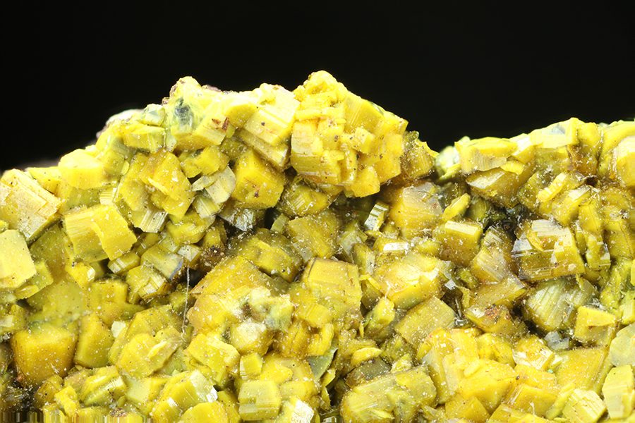 Soddyite canary-yellow crystals