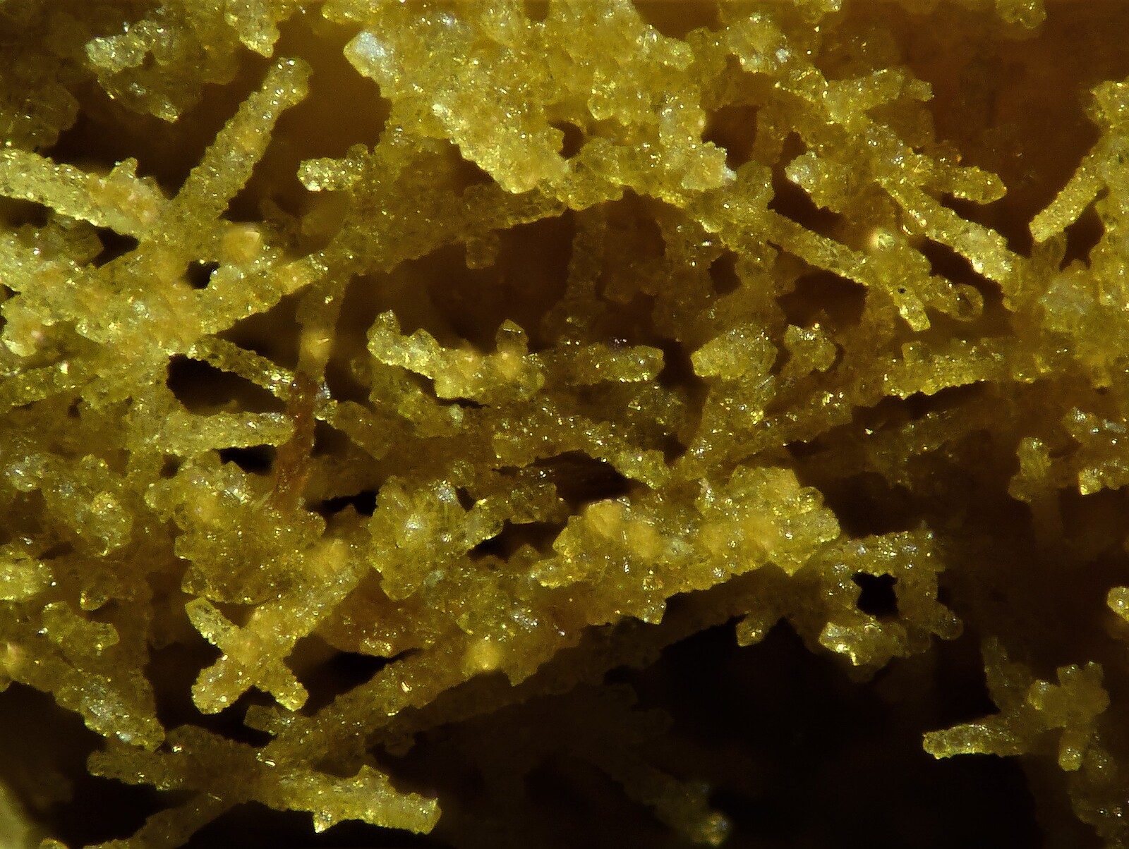 Waylandite detail